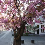 Storyhotel Bergischer Hof فندق 2*