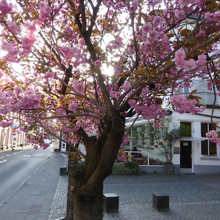 Storyhotel Bergischer Hof 호텔 2*