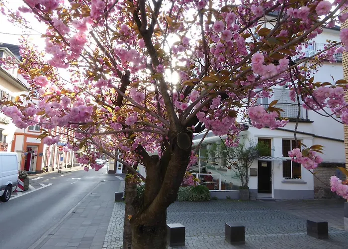 Storyhotel Bergischer Hof Hotel 2*